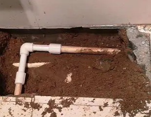 门源测漏水哪家好