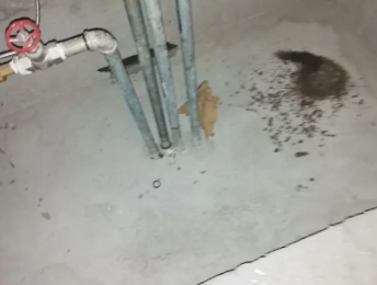 门源卫生间测漏水价格明细